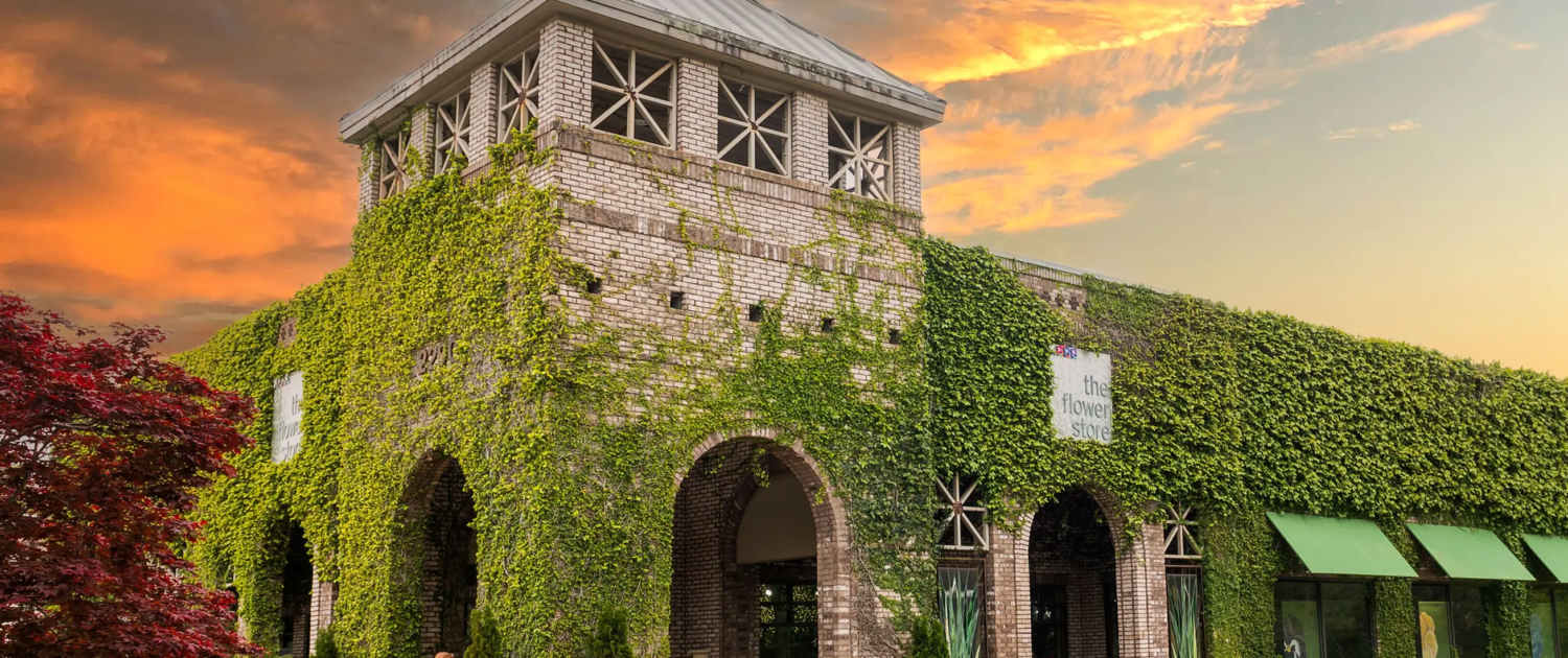 here molly girl marketing firm auburn alabama opelika logo branding social media website development