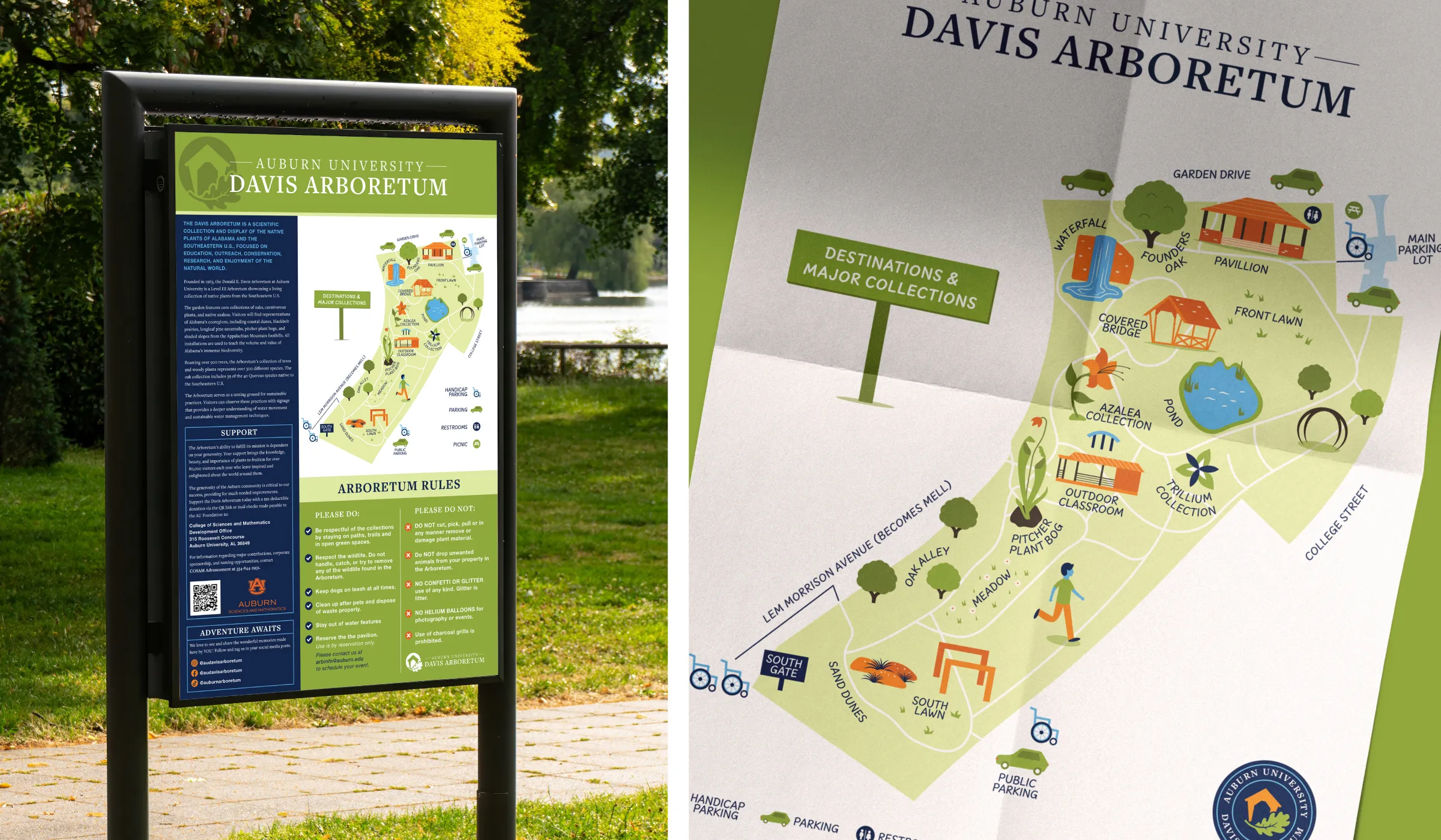 Auburn University Davis Arboretum logo branding flier