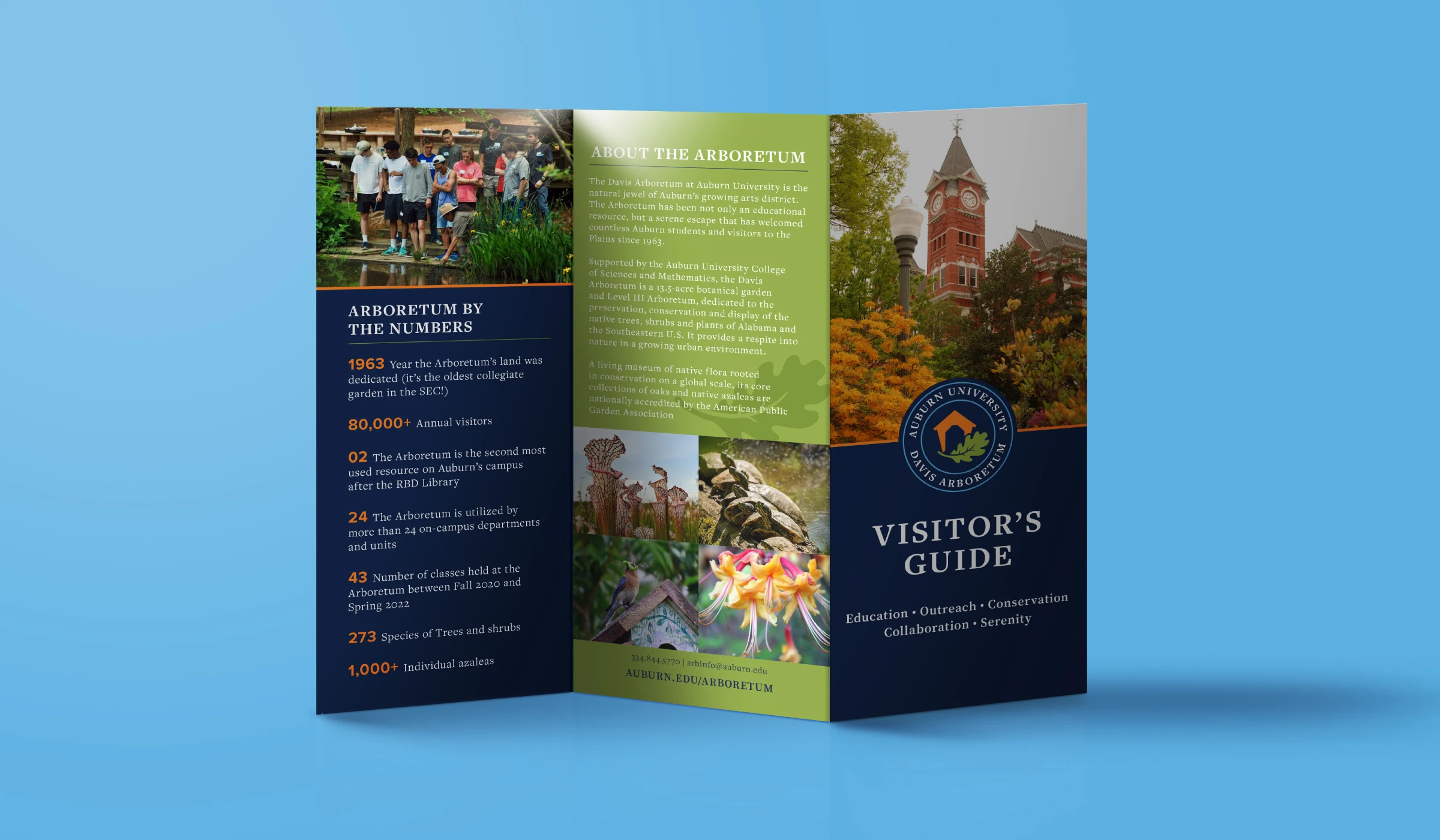 Auburn University Davis Arboretum logo branding flier