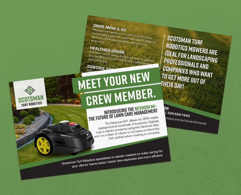 here molly girl marketing firm auburn alabama opelika logo branding social media website development