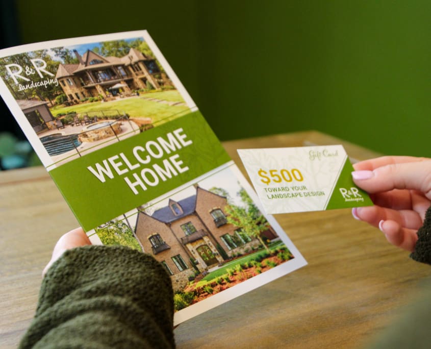 here molly girl marketing firm auburn alabama opelika logo branding social media website development