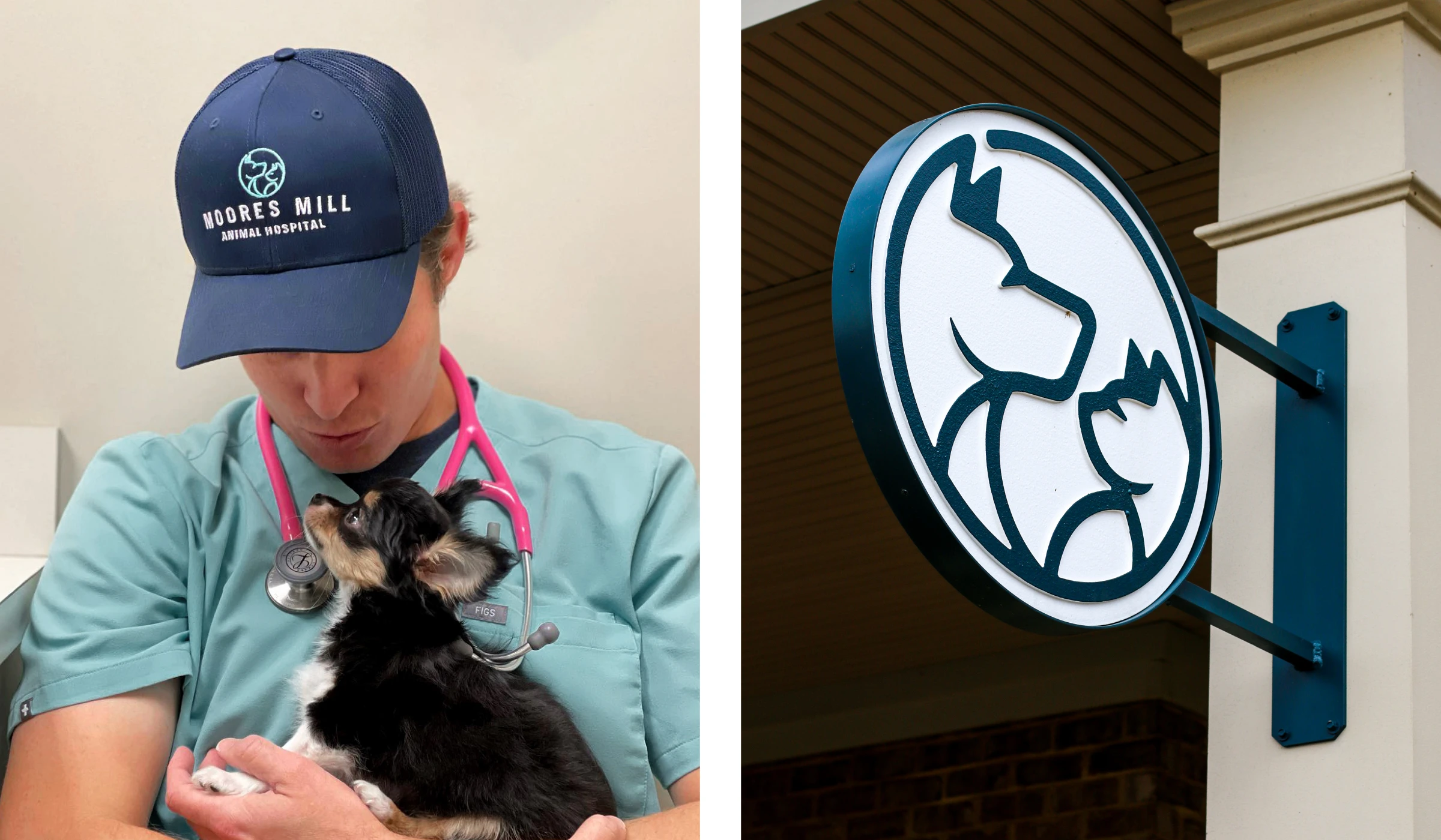 moores mill animal hospital here molly girl marketing firm auburn alabama opelika logo branding social media website development