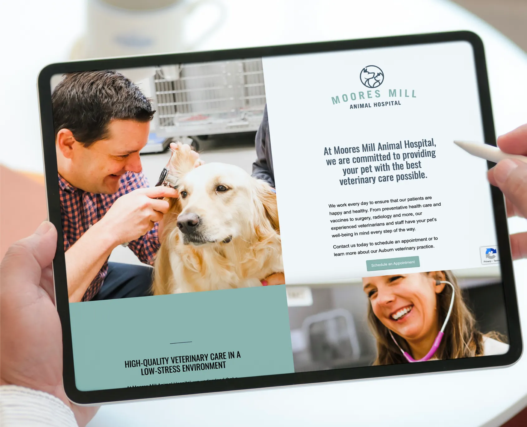 Moores Mill Animal Hospital Here Molly Girl Creative, Strategic