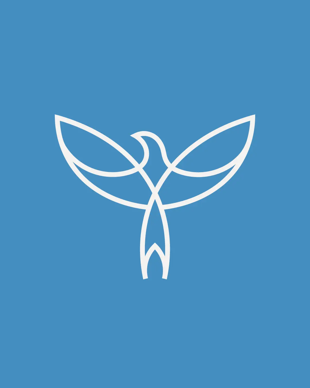 The new logo and branding suite for Auburn Aerial Yoga, designed by Here Molly Girl