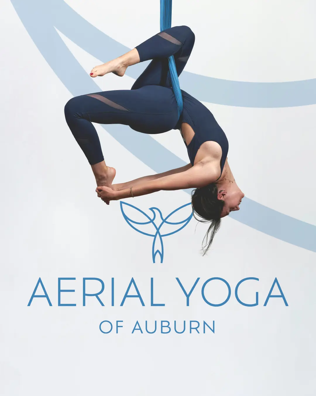 The new logo and branding suite for Auburn Aerial Yoga, designed by Here Molly Girl