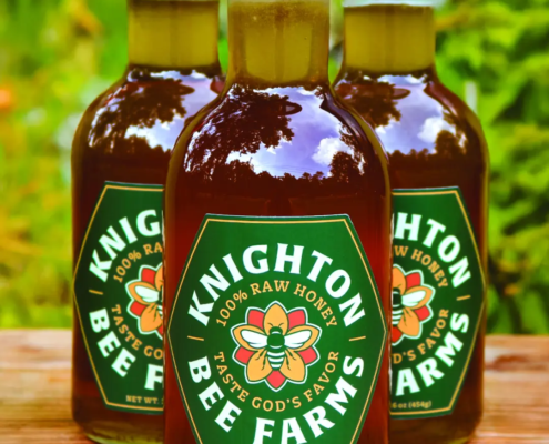 The new logo and branding suite for Knighton Bee Farm, designed by Here Molly Girl