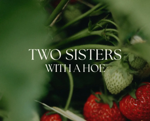 The new logo and branding suite for Two Sisters With a Hoe, designed by Here Molly Girl