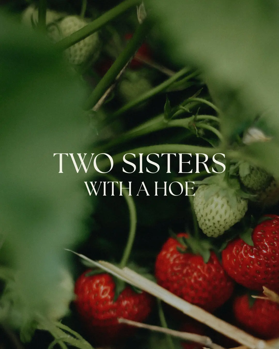 The new logo and branding suite for Two Sisters With a Hoe, designed by Here Molly Girl